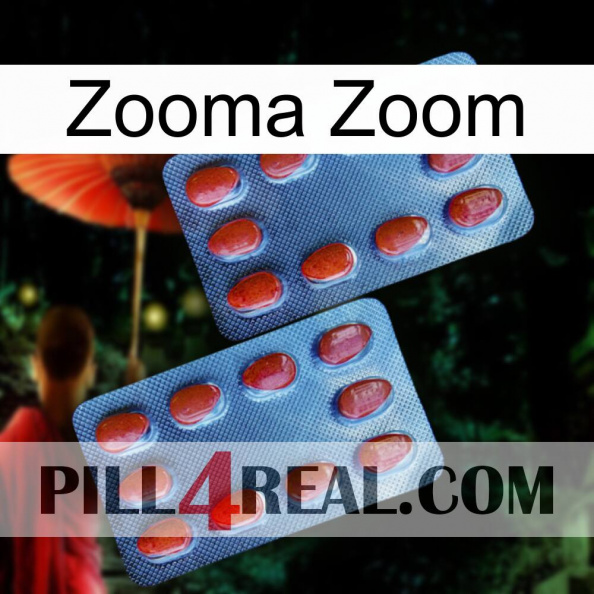 Zooma Zoom 05.jpg